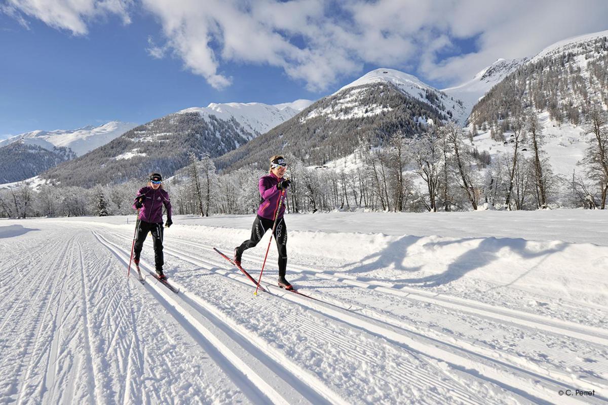 Appartmenthaus Bergfreund Fiesch Eksteriør billede