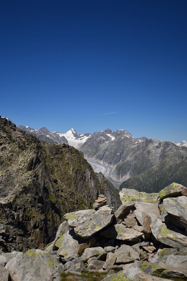 Appartmenthaus Bergfreund Fiesch Eksteriør billede