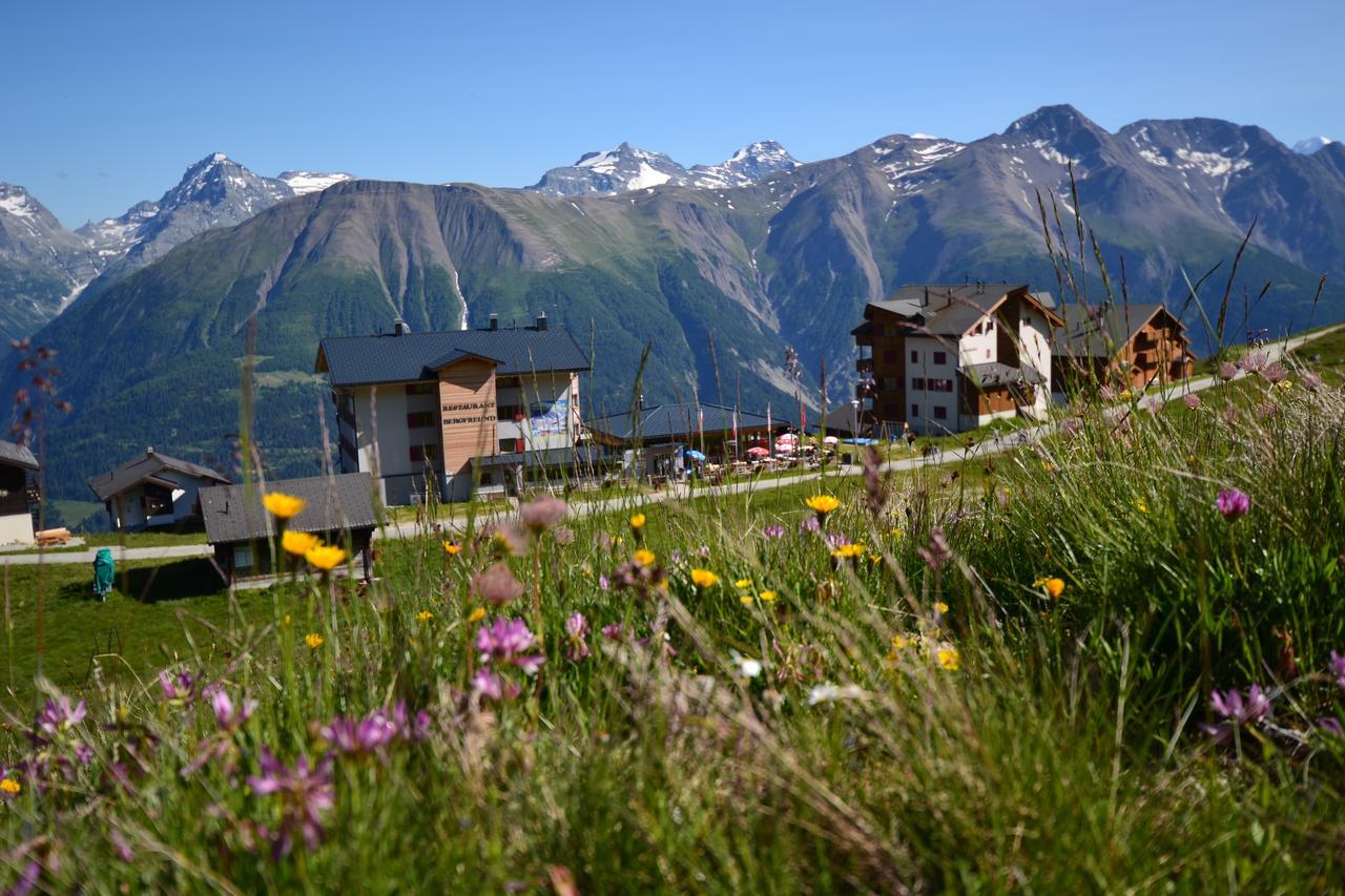 Appartmenthaus Bergfreund Fiesch Eksteriør billede