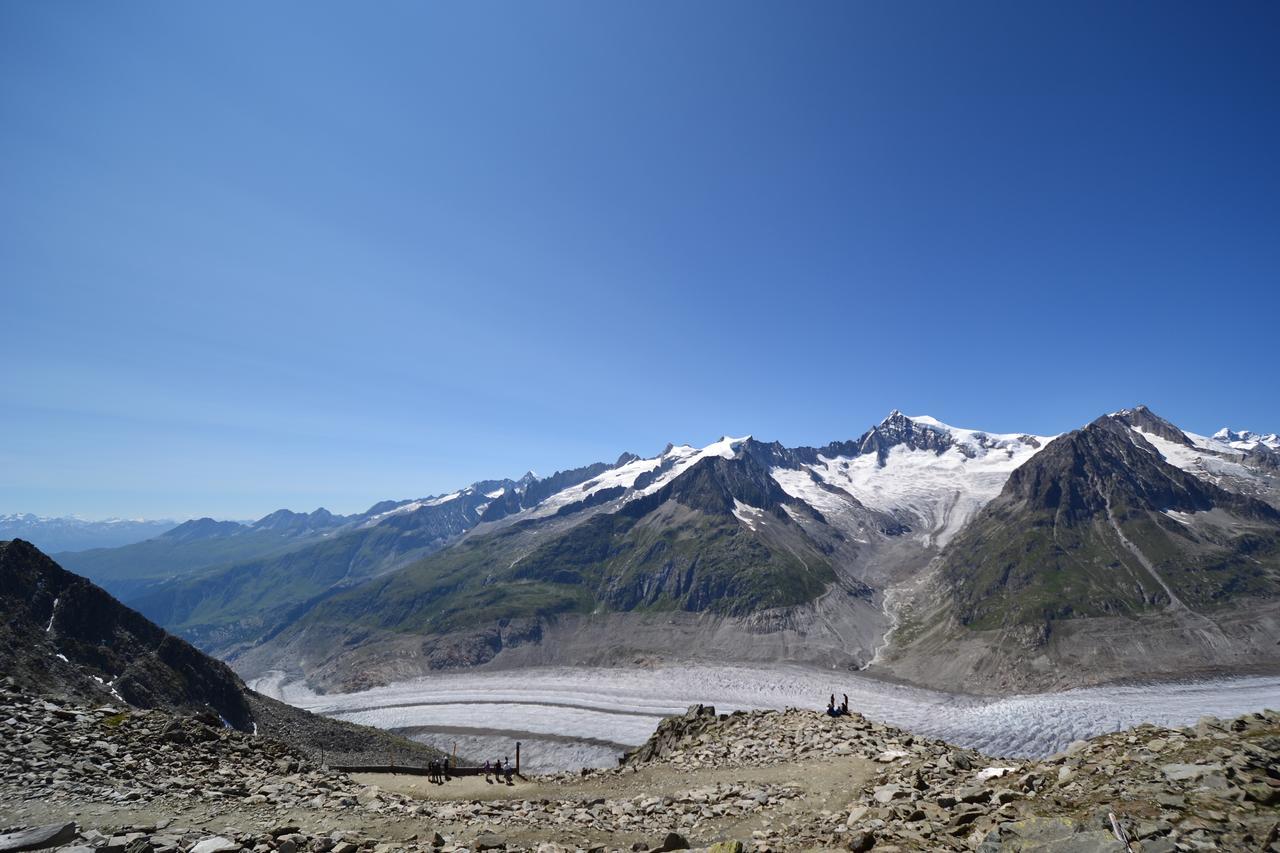 Appartmenthaus Bergfreund Fiesch Eksteriør billede