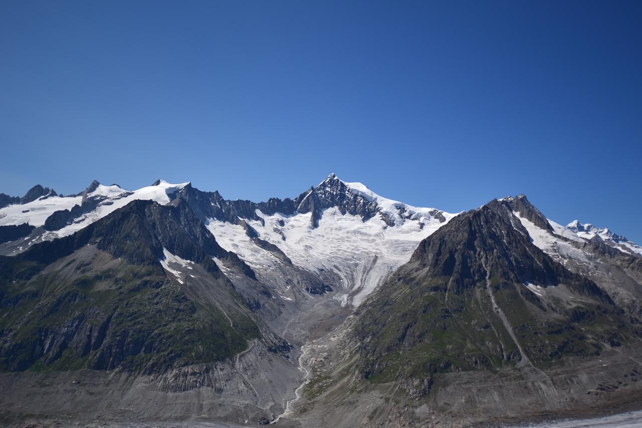 Appartmenthaus Bergfreund Fiesch Eksteriør billede